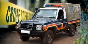police car .jpg