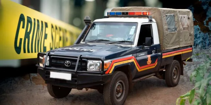 police car .jpg